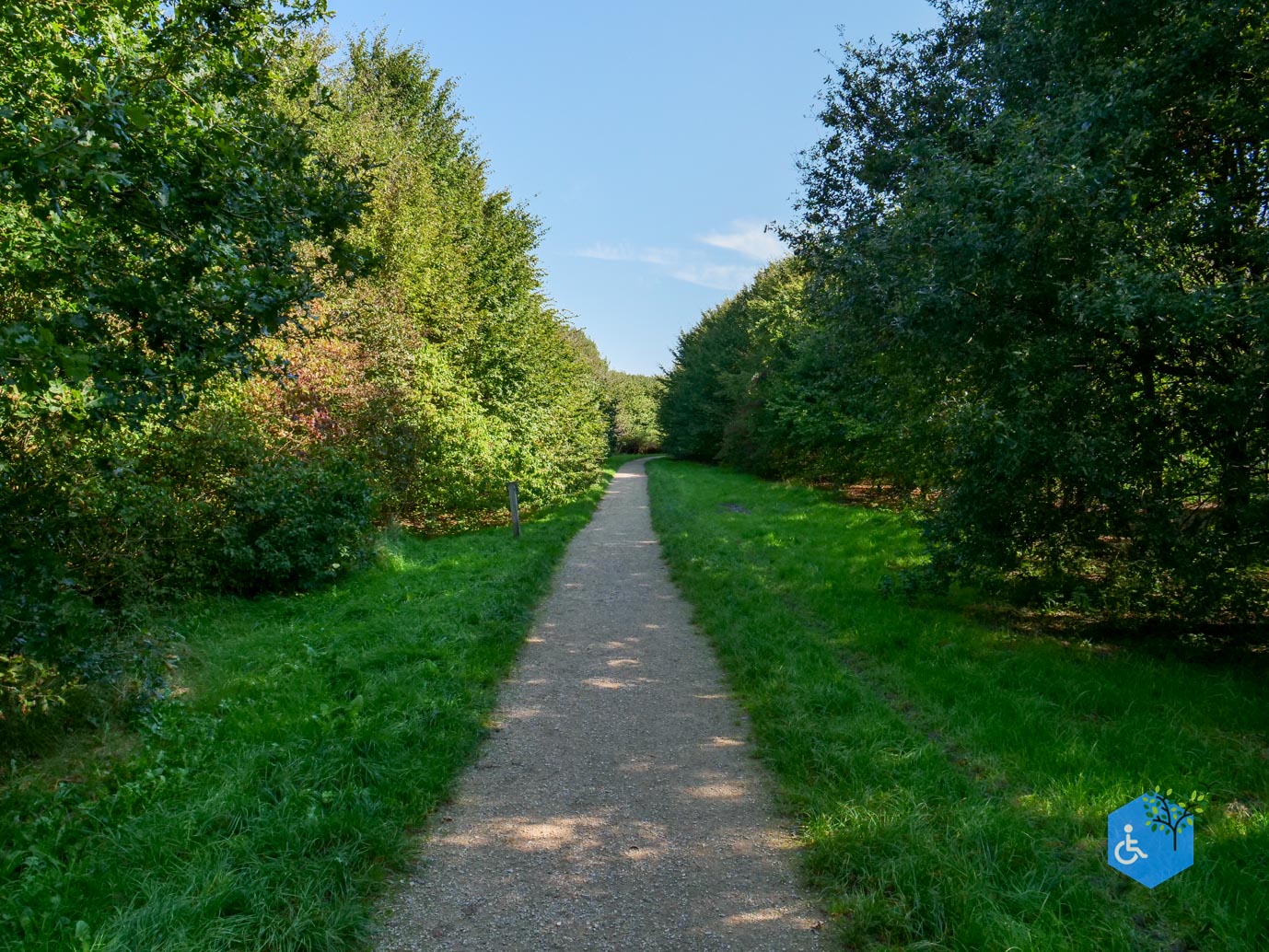 Houten_Rondje_Nieuw_Wulven_21-09-2024-40