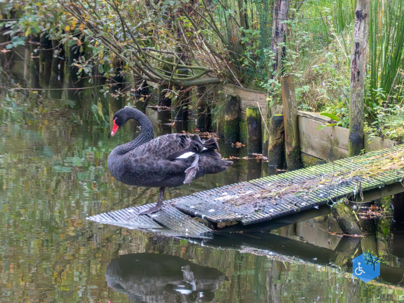Heeswijk_Dinther_Kasteel_Heeswijk_08-11-2024-56