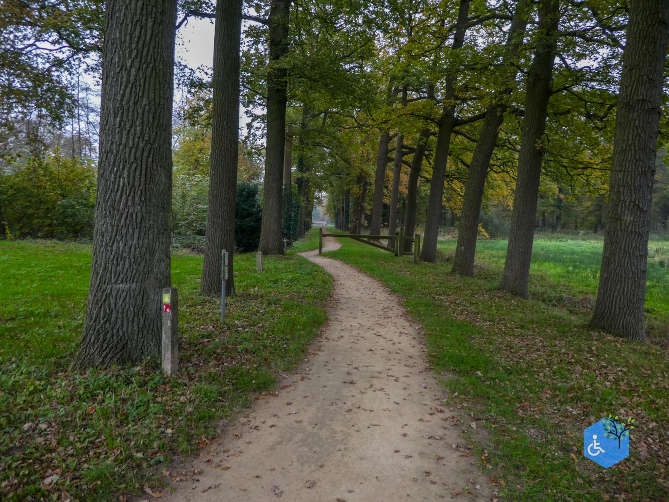 Heeswijk_Dinther_Landgoed_Heeswijk_08-11-2024-21