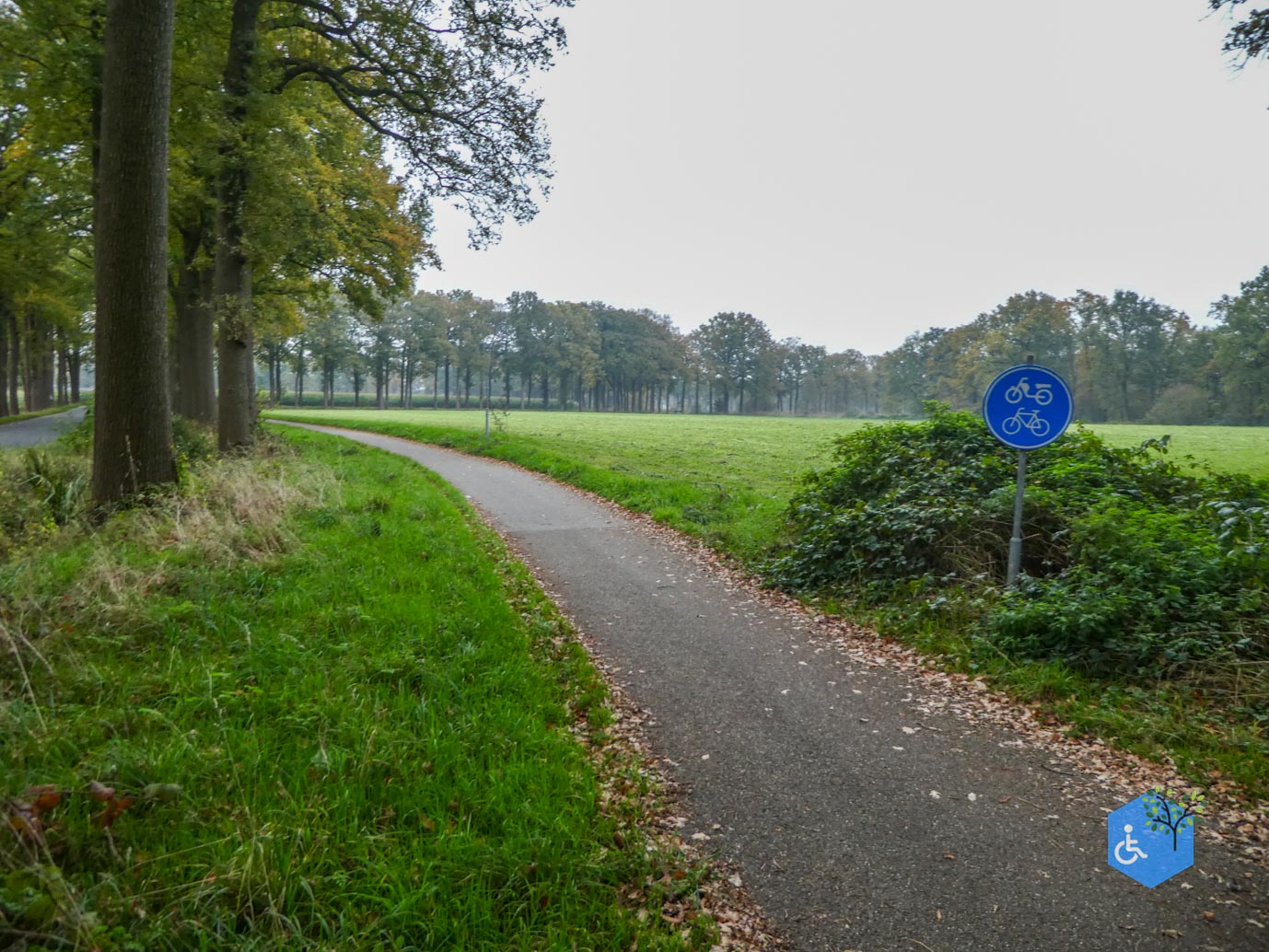 Heeswijk_Dinther_Landgoed_Heeswijk_08-11-2024-32