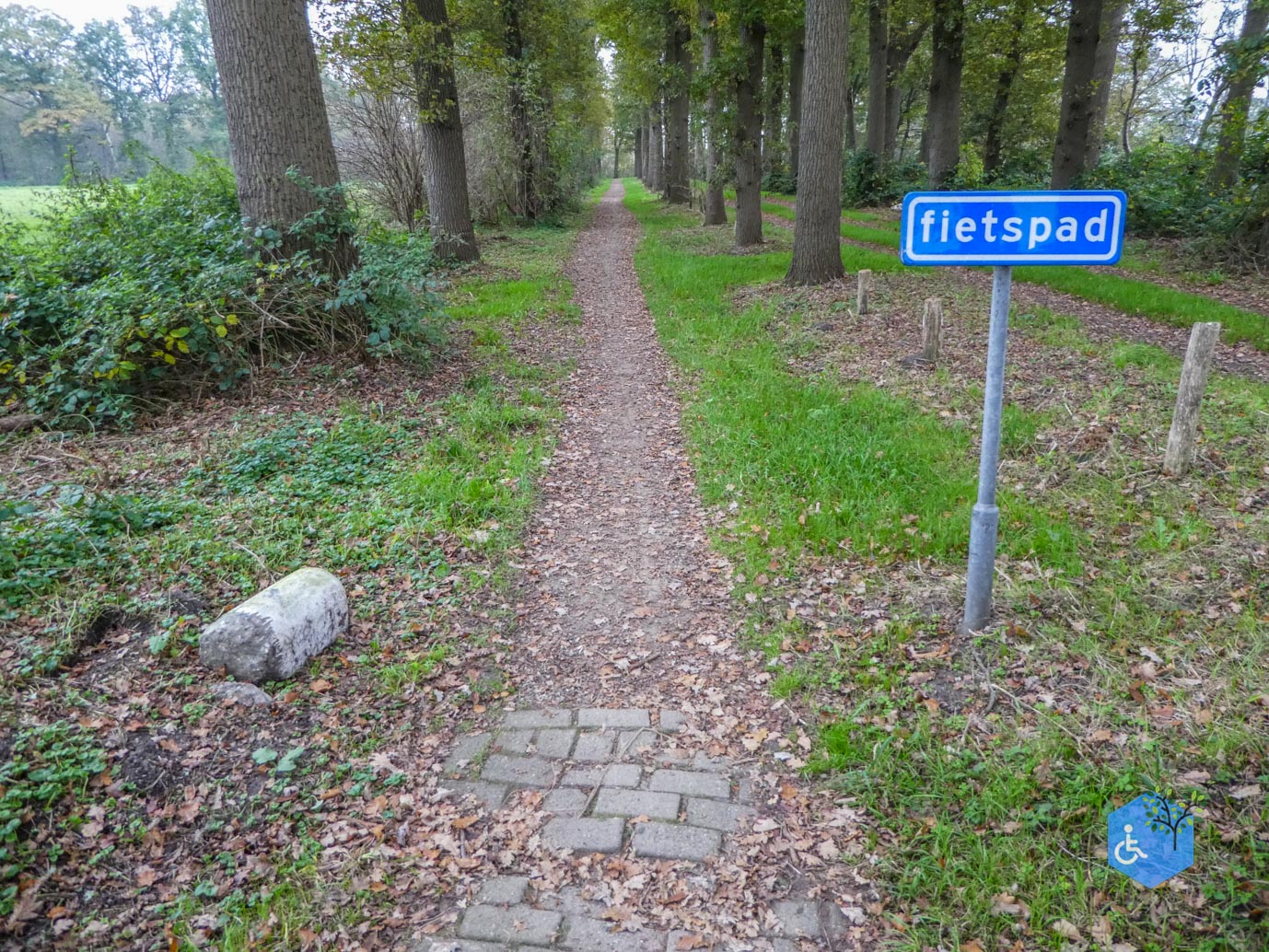 Heeswijk_Dinther_Landgoed_Heeswijk_08-11-2024-33