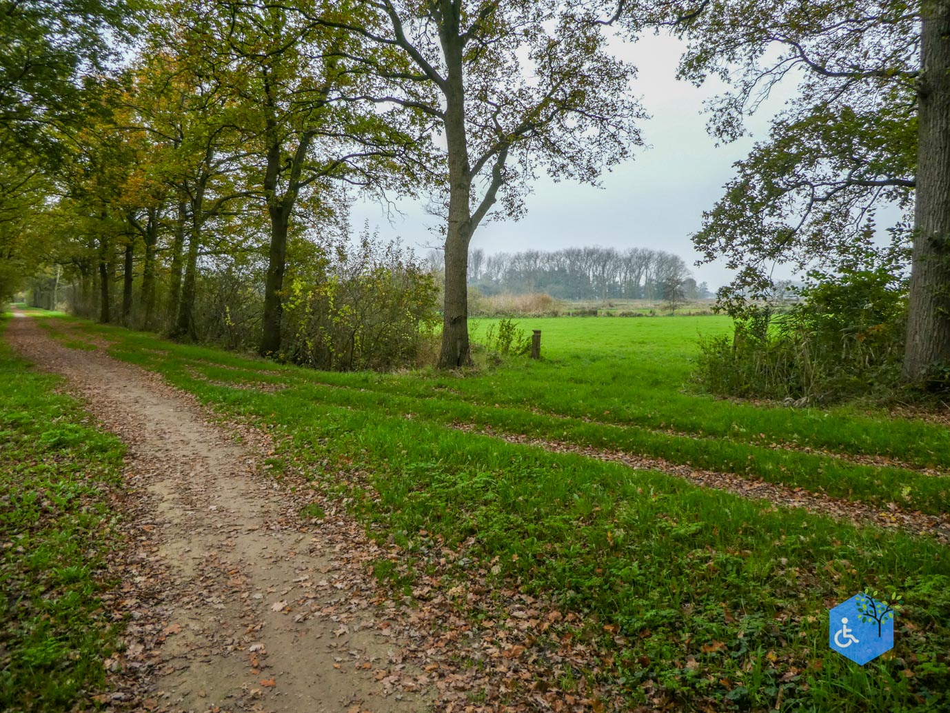 Heeswijk_Dinther_Landgoed_Heeswijk_08-11-2024-35