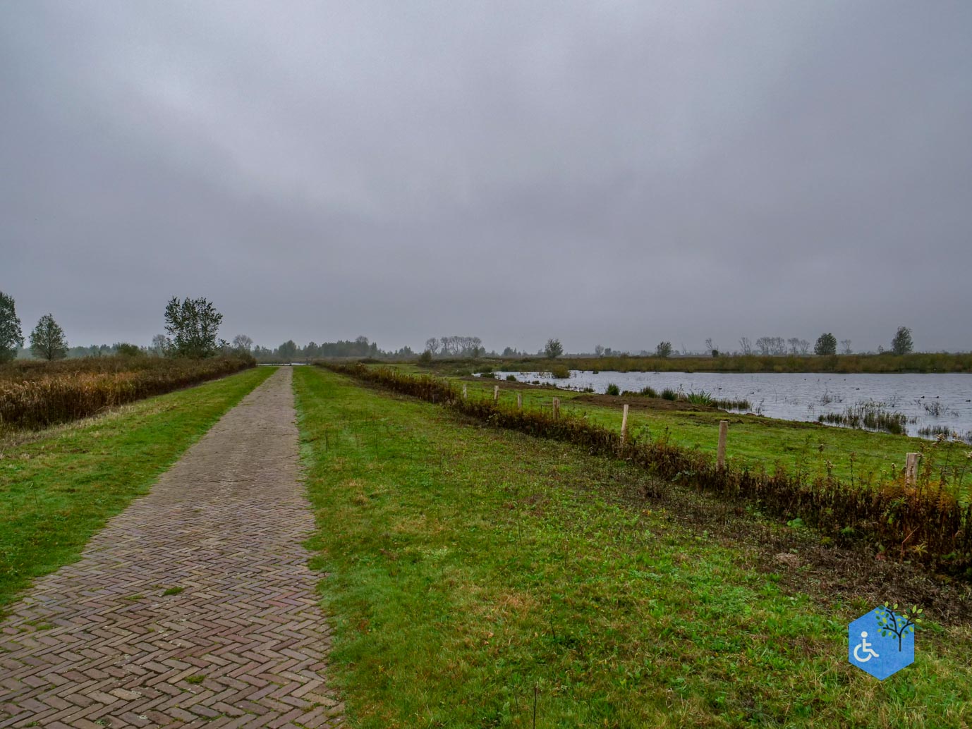 Zuid-Beijerland_Tiengemeten_Route_Vliedberg_01-11-2024-14