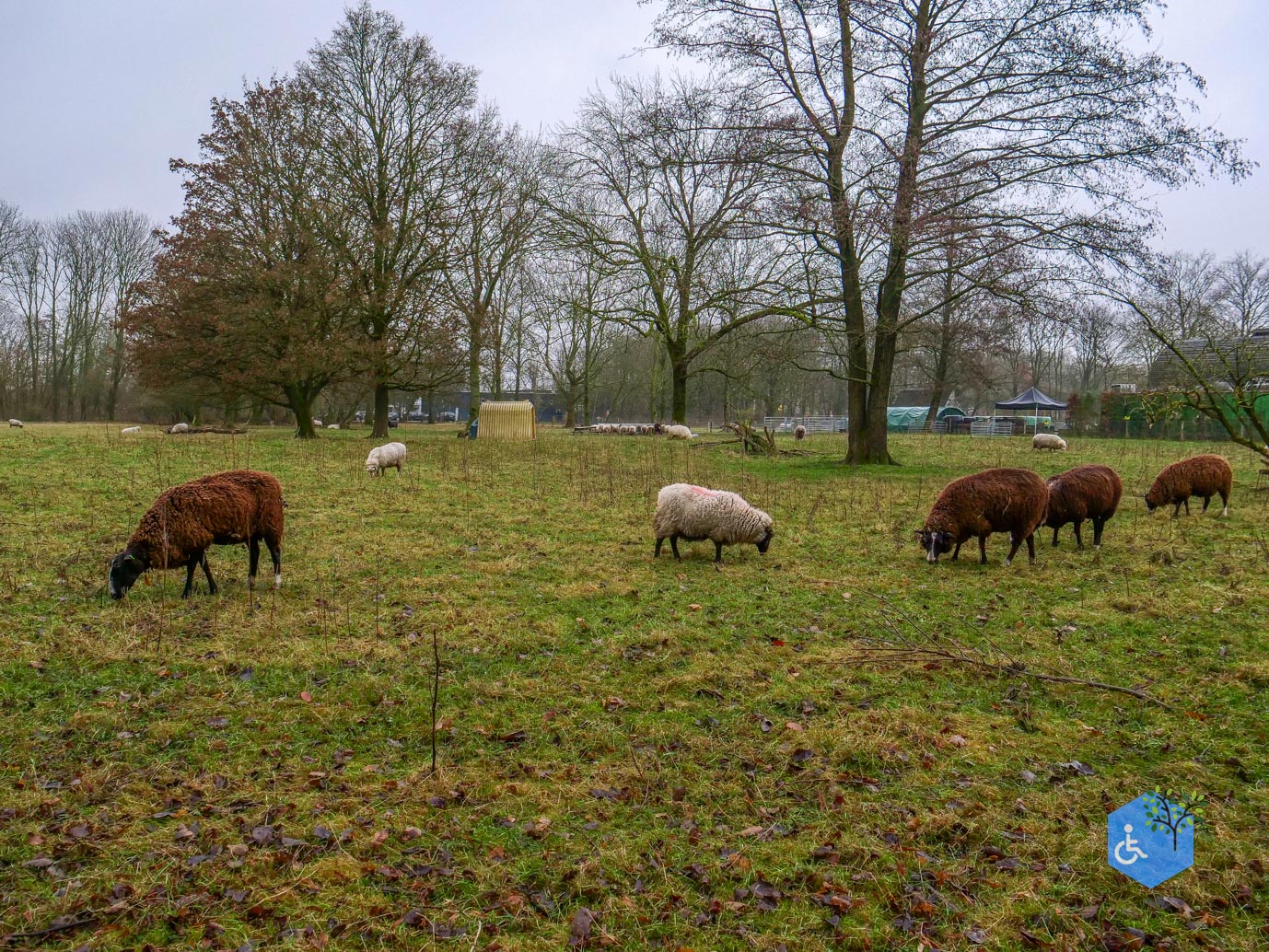 Almere_Natuurontdekpad_14-12-2024-10