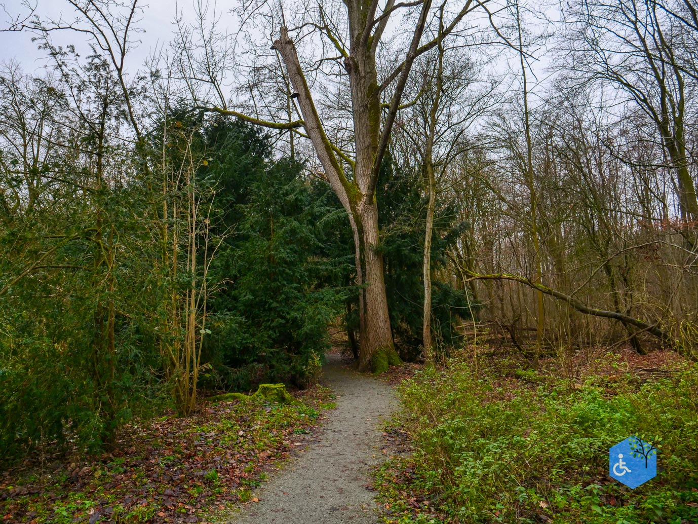 Almere_Natuurontdekpad_14-12-2024-14