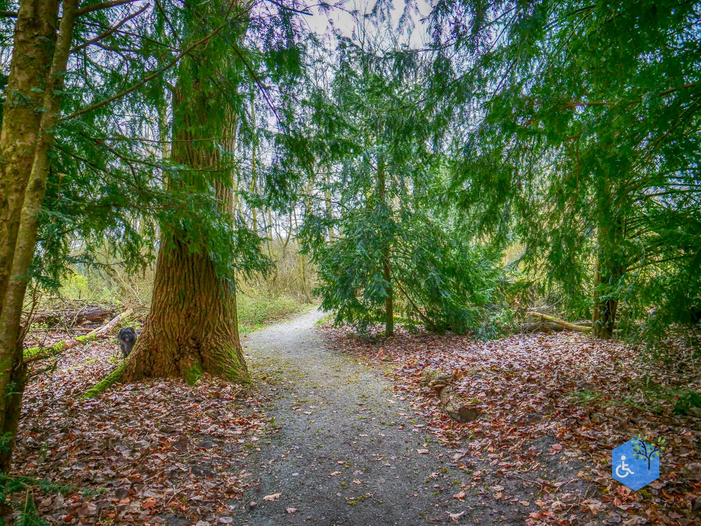 Almere_Natuurontdekpad_14-12-2024-15