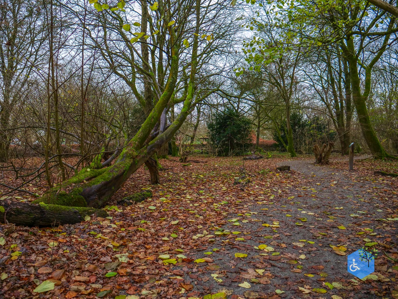 Almere_Natuurontdekpad_14-12-2024-16