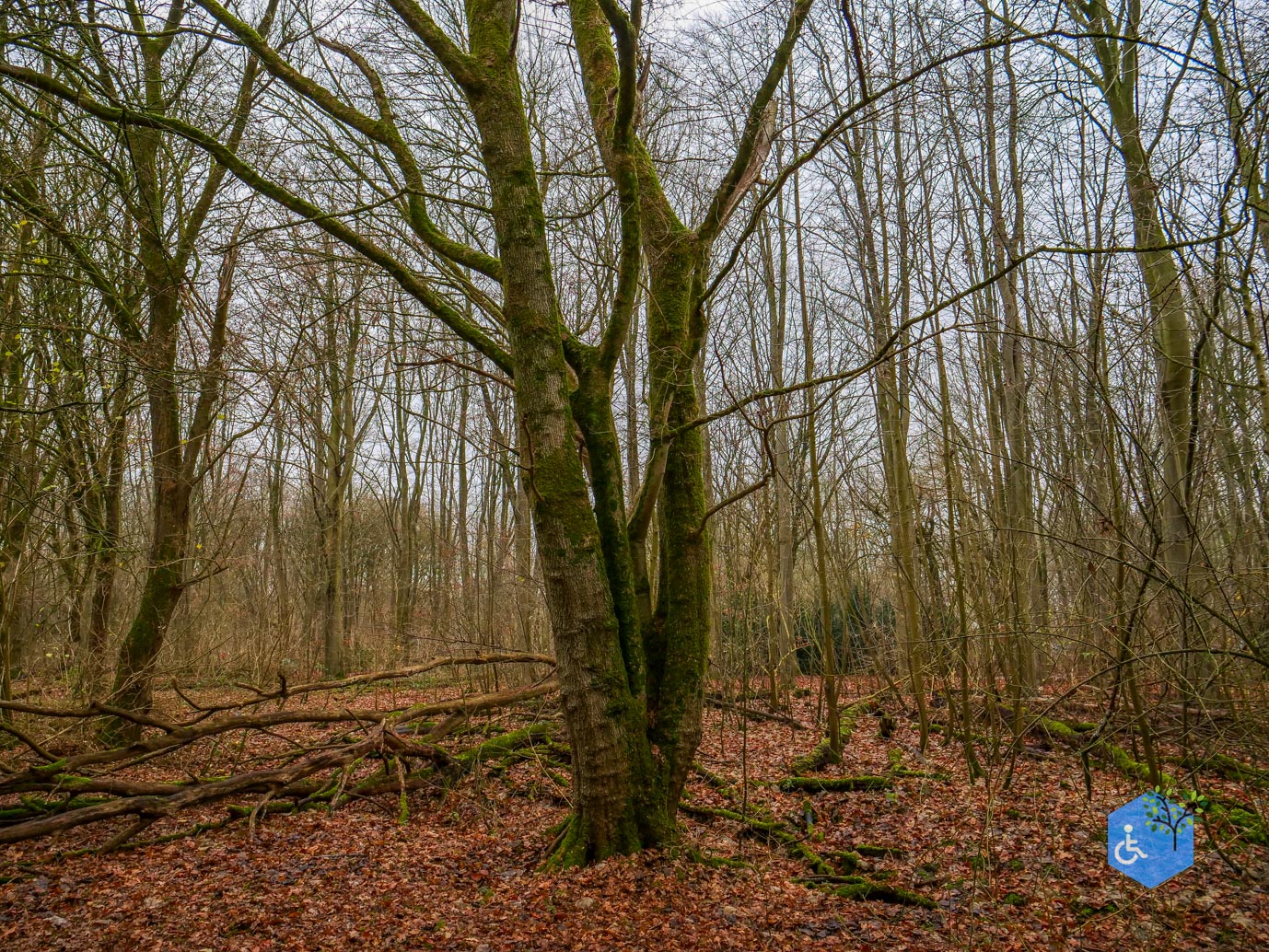 Almere_Natuurontdekpad_14-12-2024-19