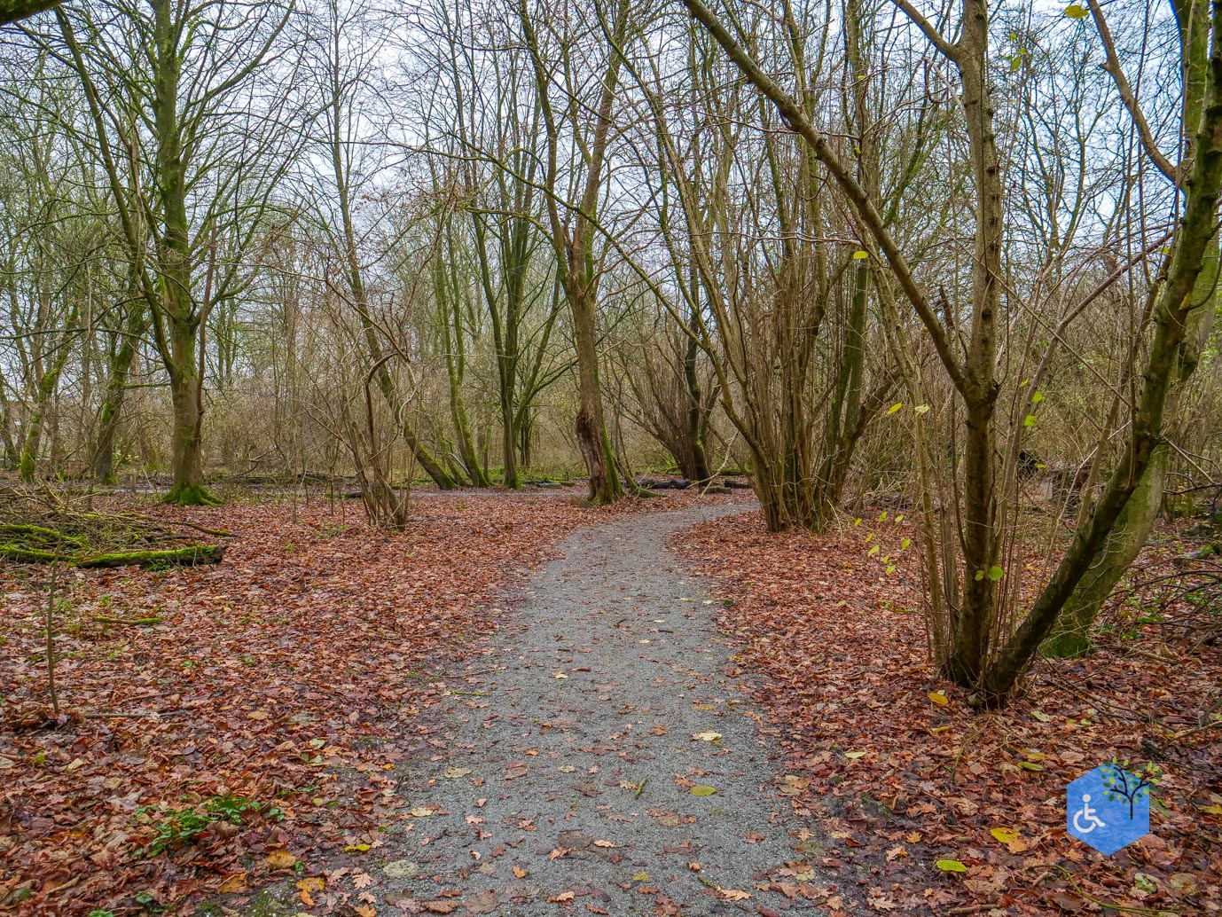 Almere_Natuurontdekpad_14-12-2024-21