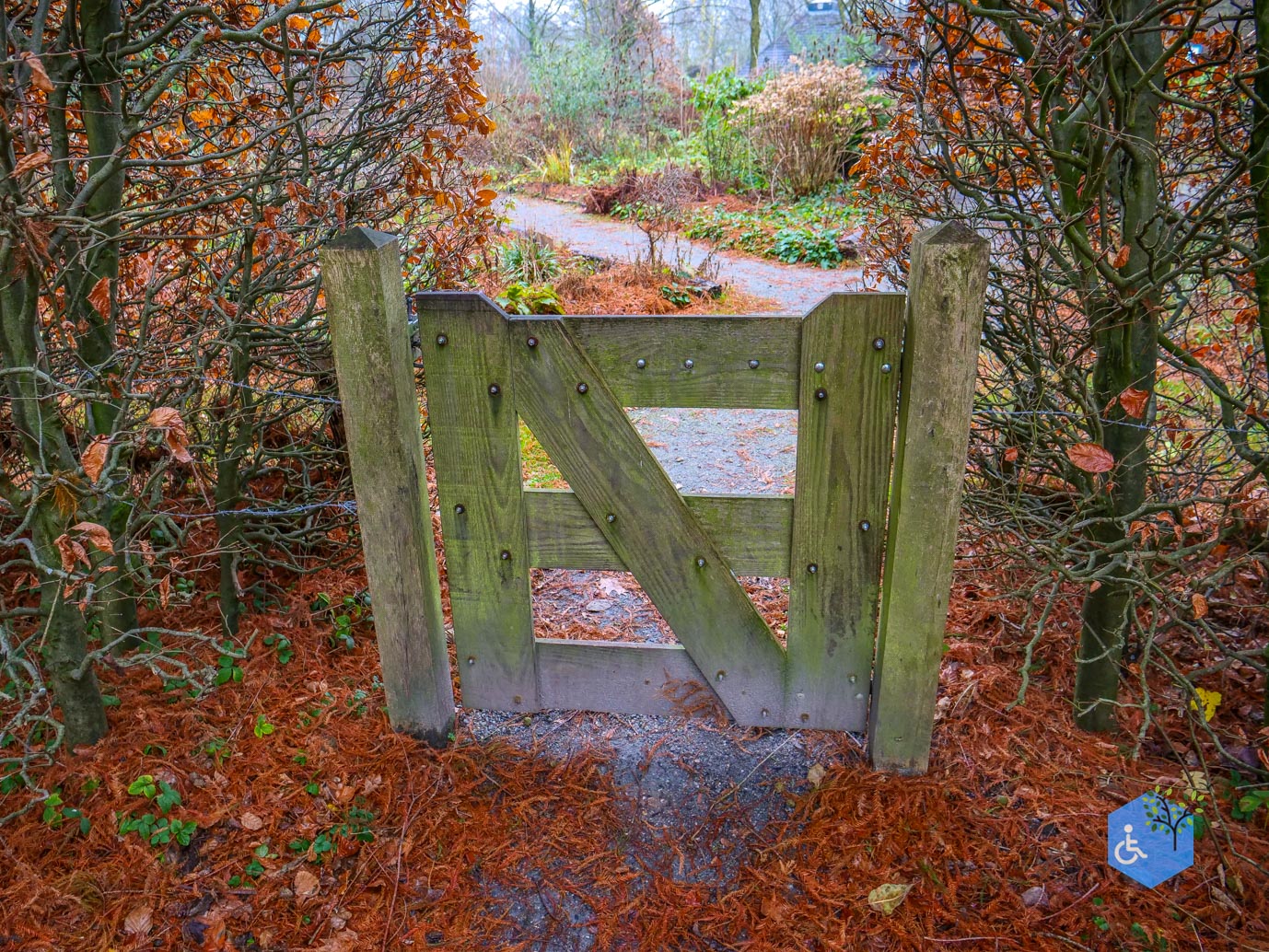 Almere_Natuurontdekpad_14-12-2024-23