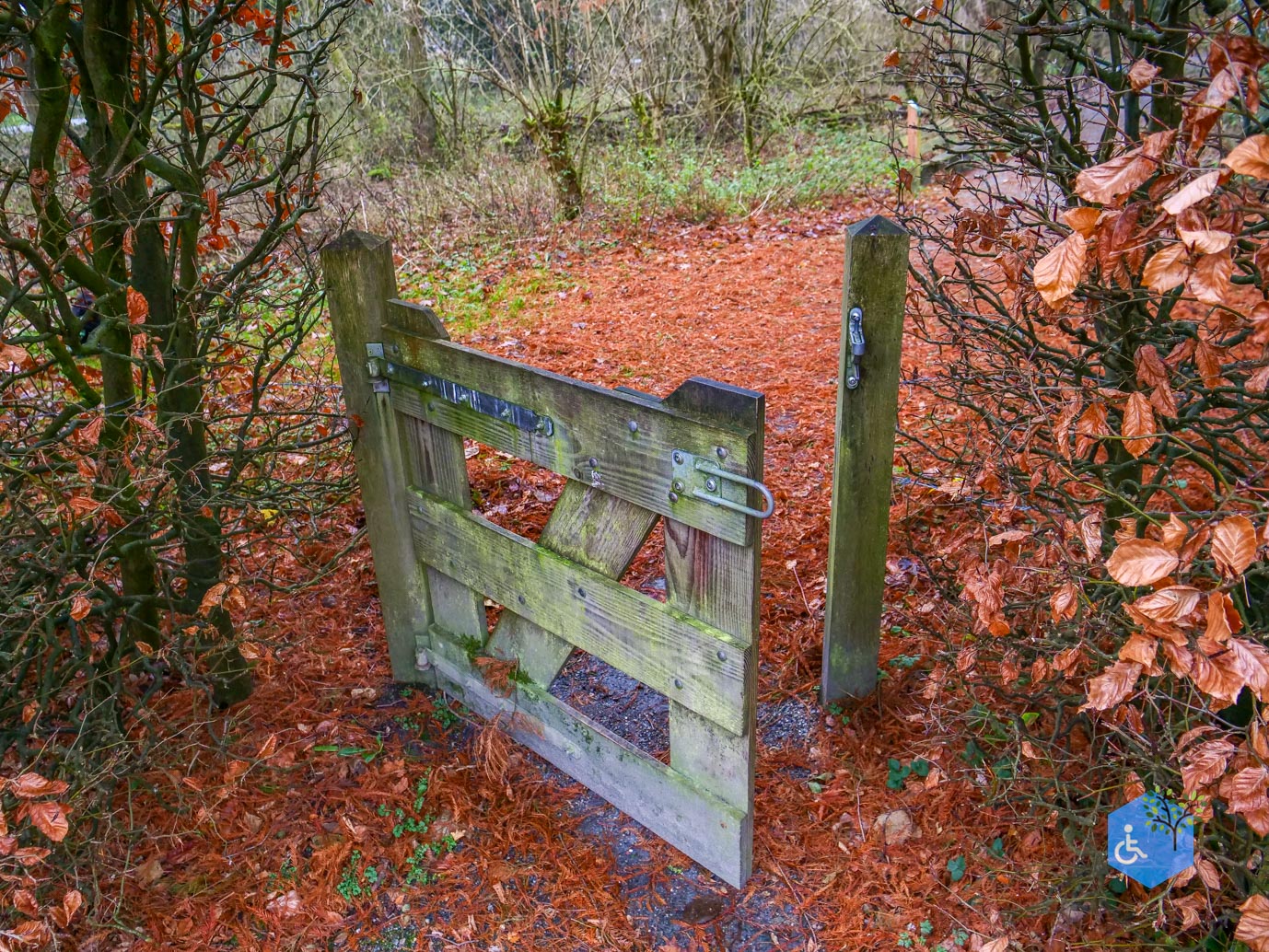 Almere_Natuurontdekpad_14-12-2024-24