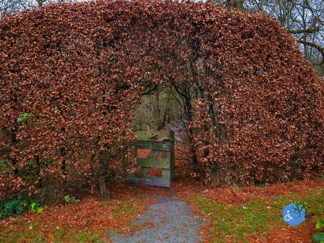 Almere_Natuurontdekpad_14-12-2024-25