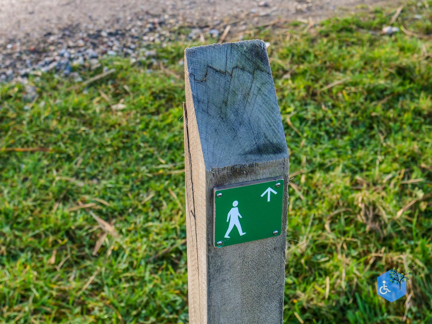 Lelystad_Wandelroute_Zeearend_20-12-2024-05