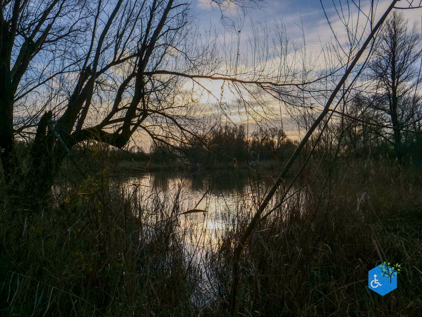 Lelystad_Wandelroute_Zeearend_20-12-2024-07