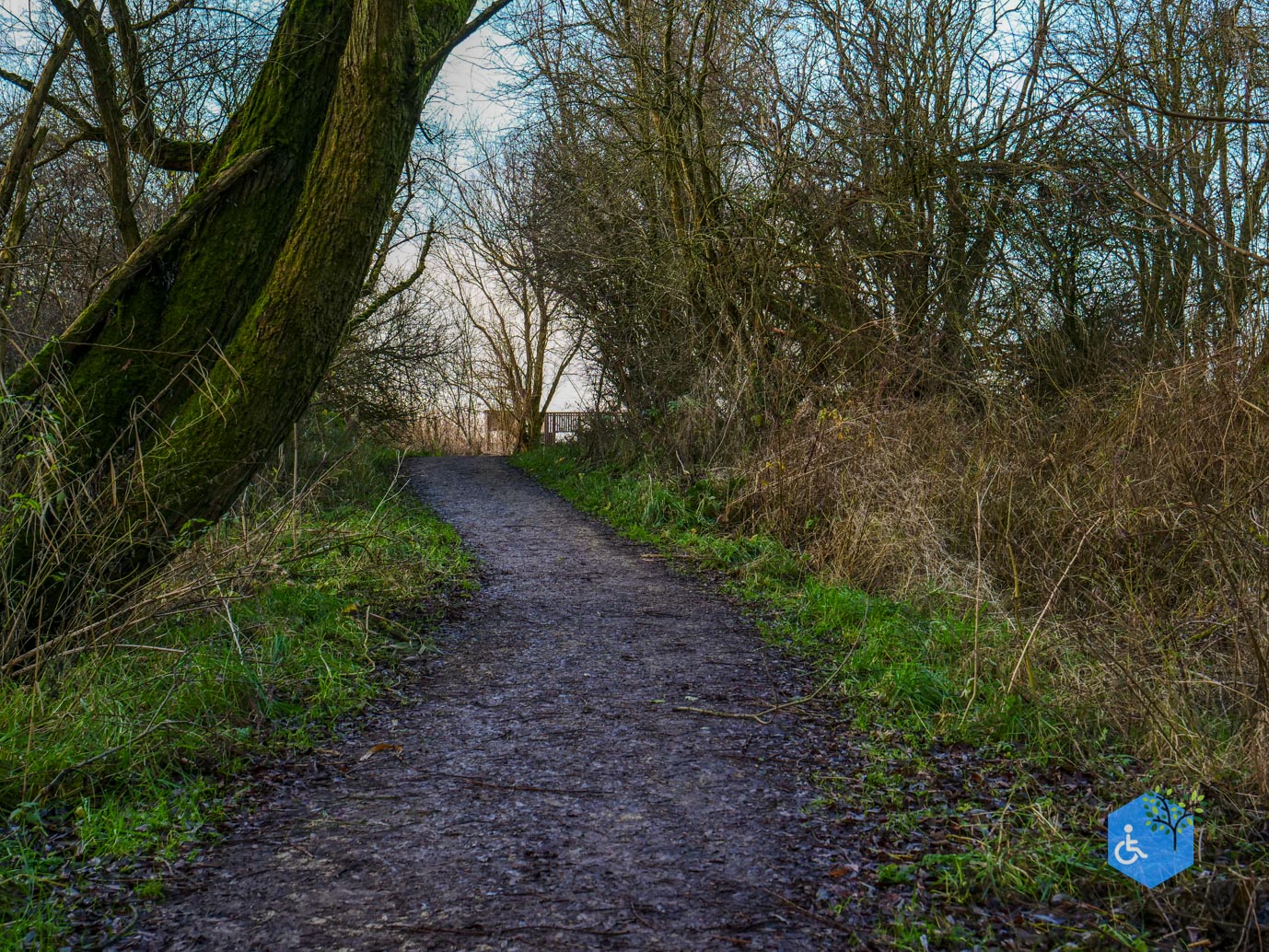 Lelystad_Wandelroute_Zeearend_20-12-2024-12