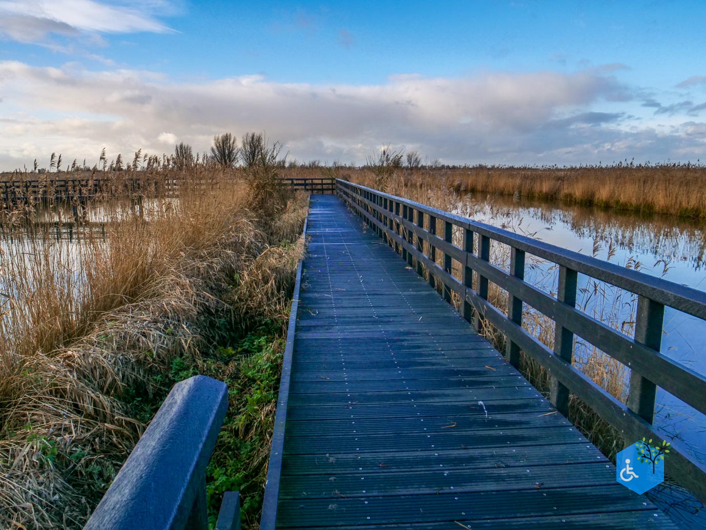 Lelystad_Wandelroute_Zeearend_20-12-2024-20