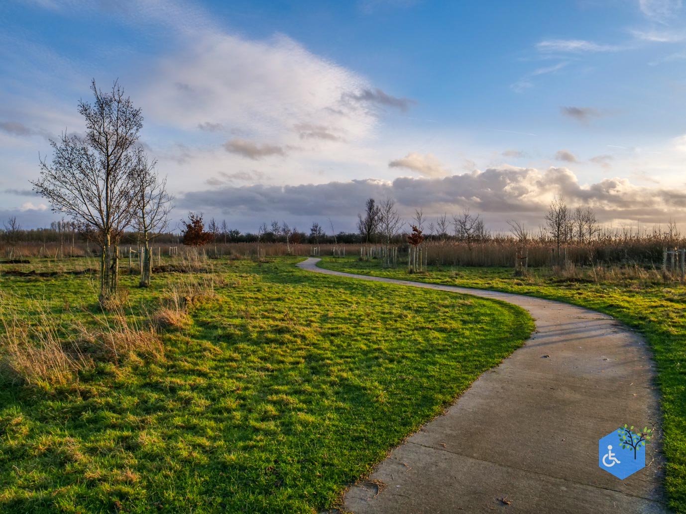 Lelystad_Wandelroute_Zeearend_20-12-2024-47