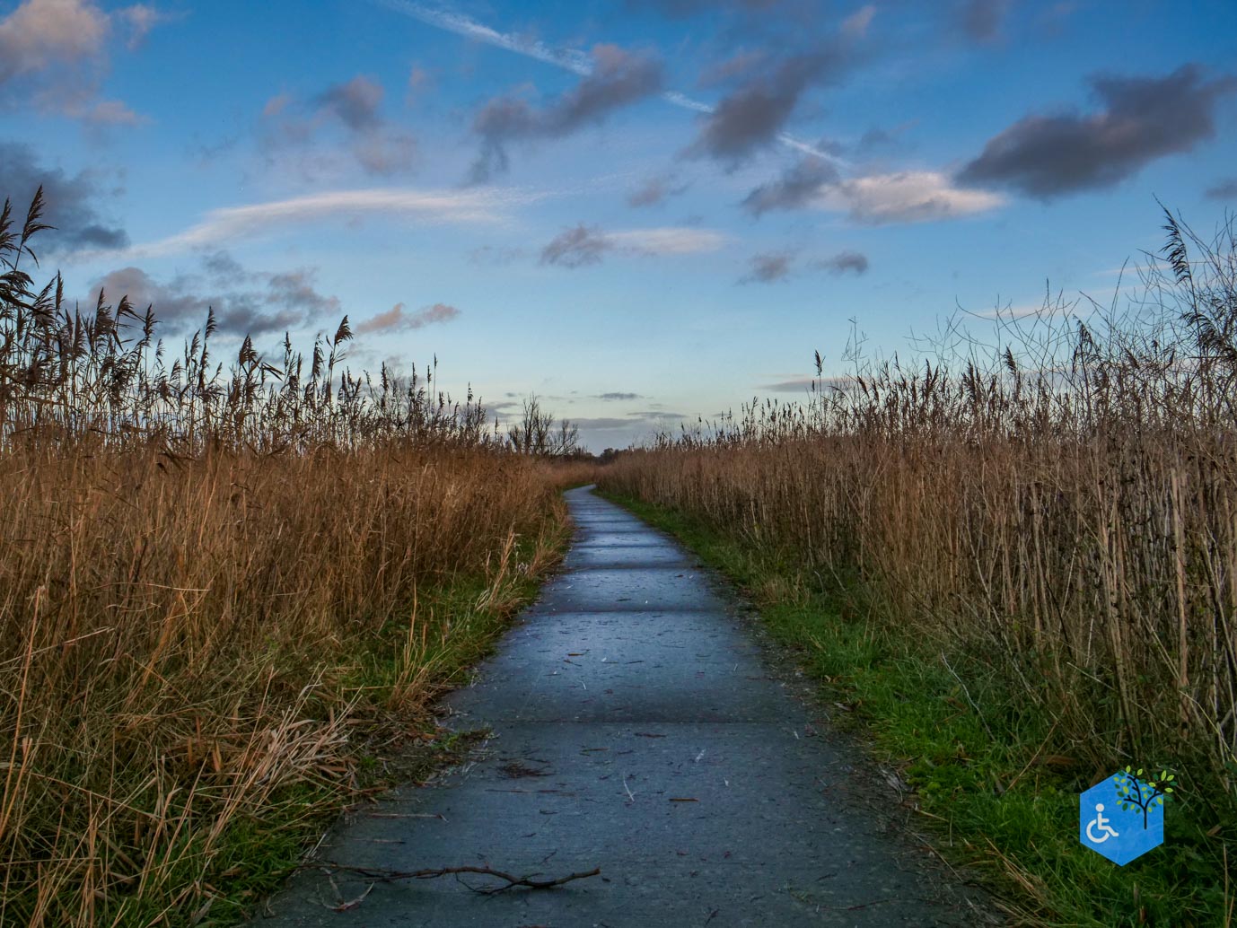 Lelystad_Wandelroute_Zeearend_20-12-2024-53