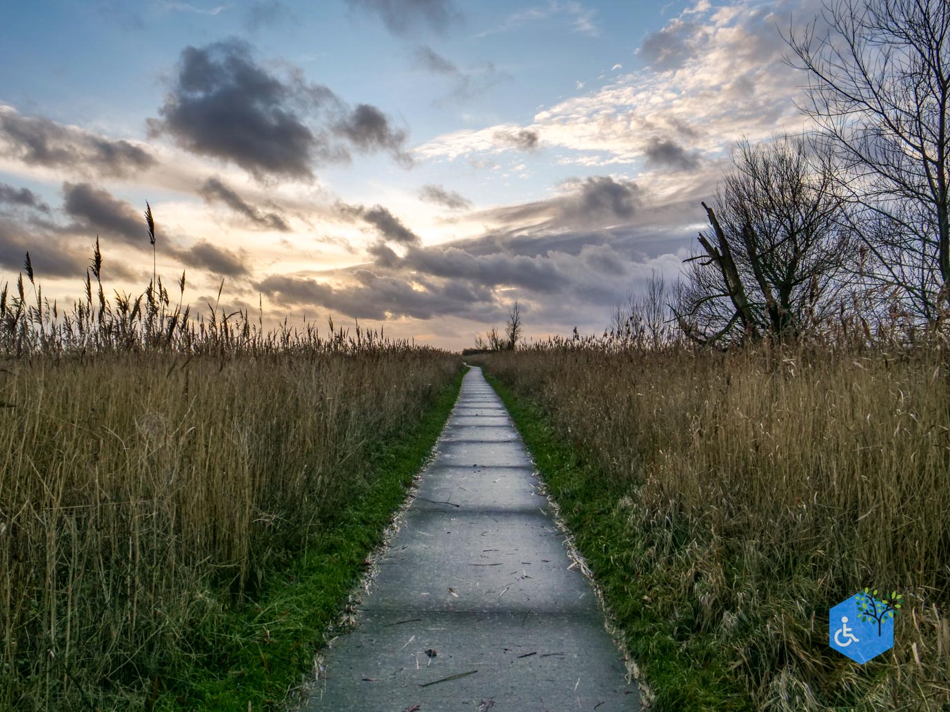 Lelystad_Wandelroute_Zeearend_20-12-2024-54
