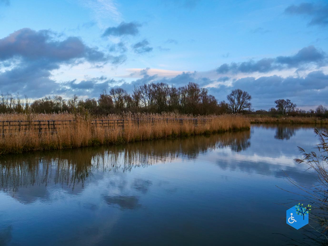 Lelystad_Wandelroute_Zeearend_20-12-2024-56