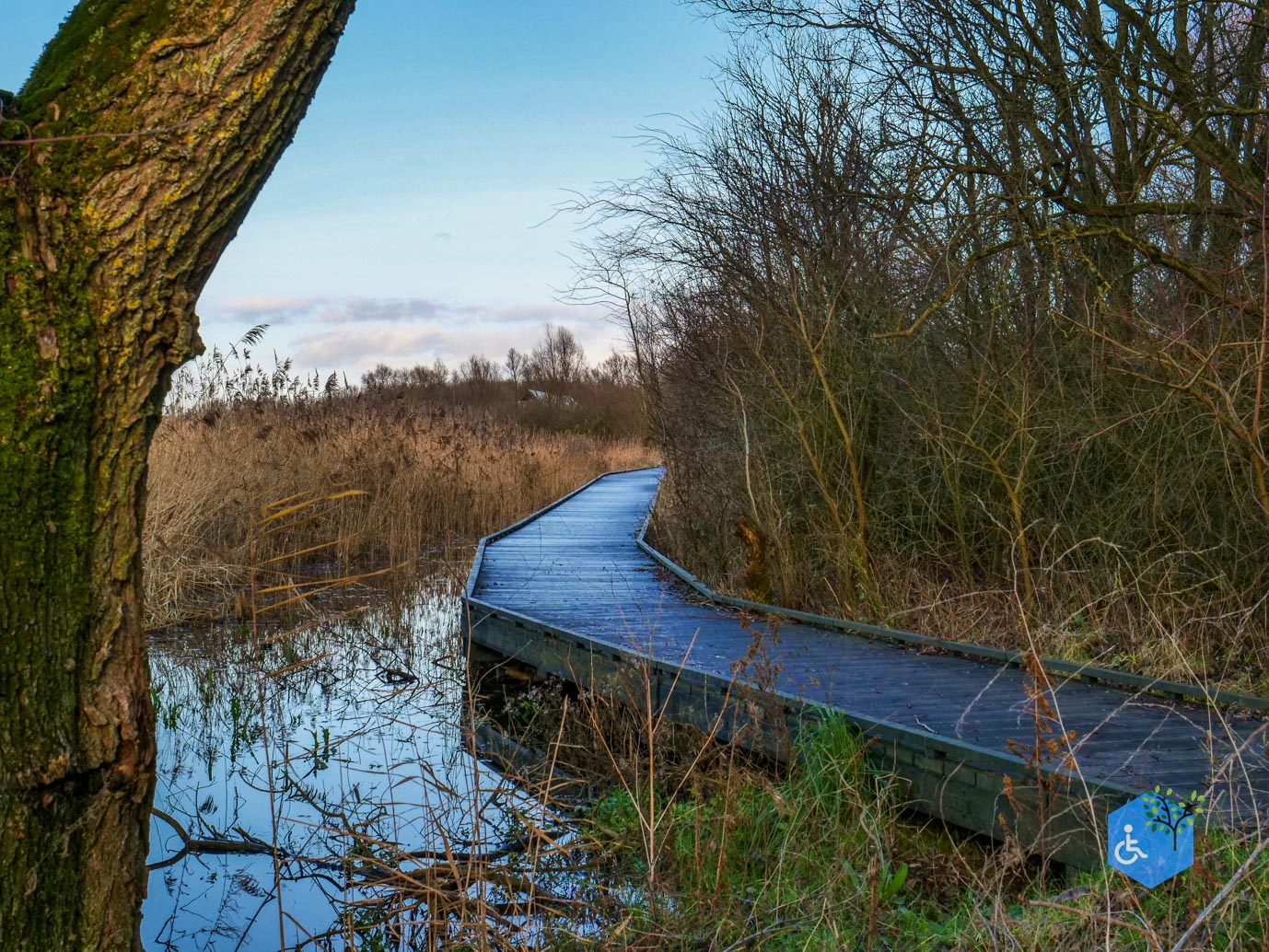 Lelystad_Wandelroute_Zeearend_20-12-2024-58