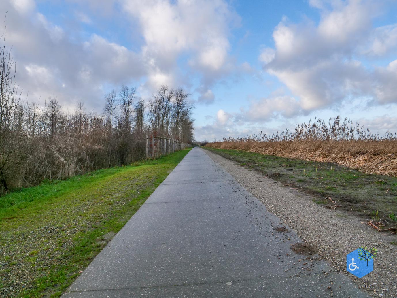 Almere_Uitkijkpunt_Oostvaardersplassen_20-12-2024-10