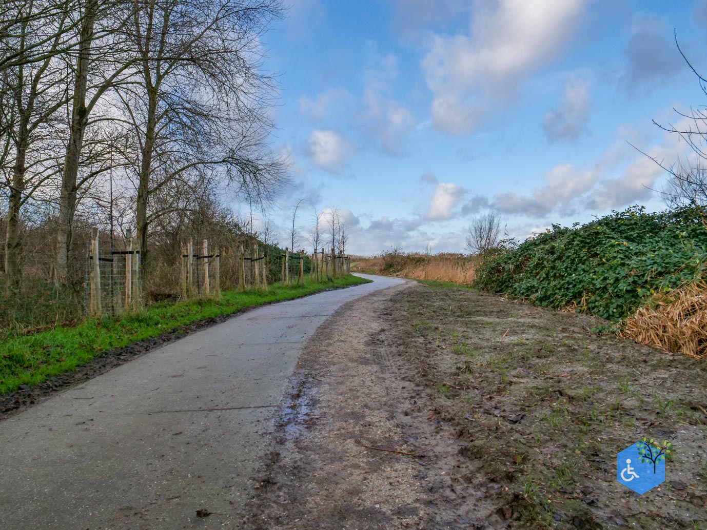 Almere_Uitkijkpunt_Oostvaardersplassen_20-12-2024-11