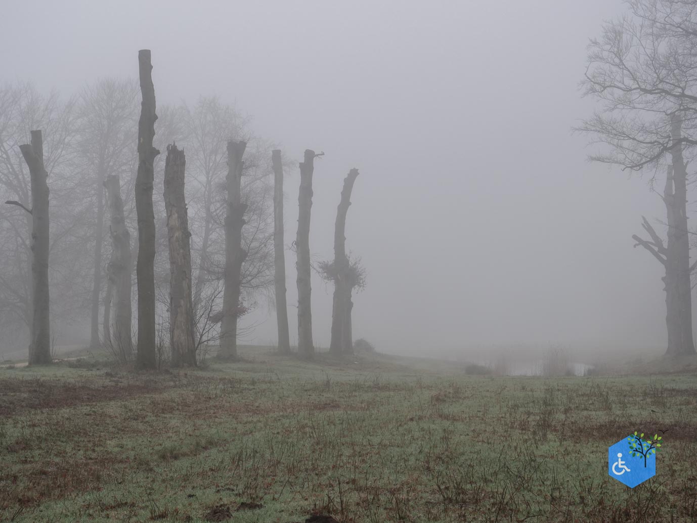 Leersum_Landgoed_Broekhuizen_R1_17-01-2025-32