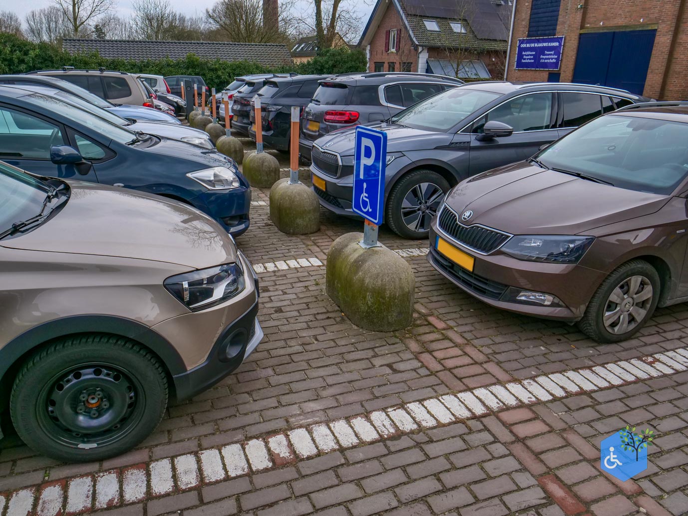 Rhenen_De_Blauwe_Kamer_15-02-2025-01