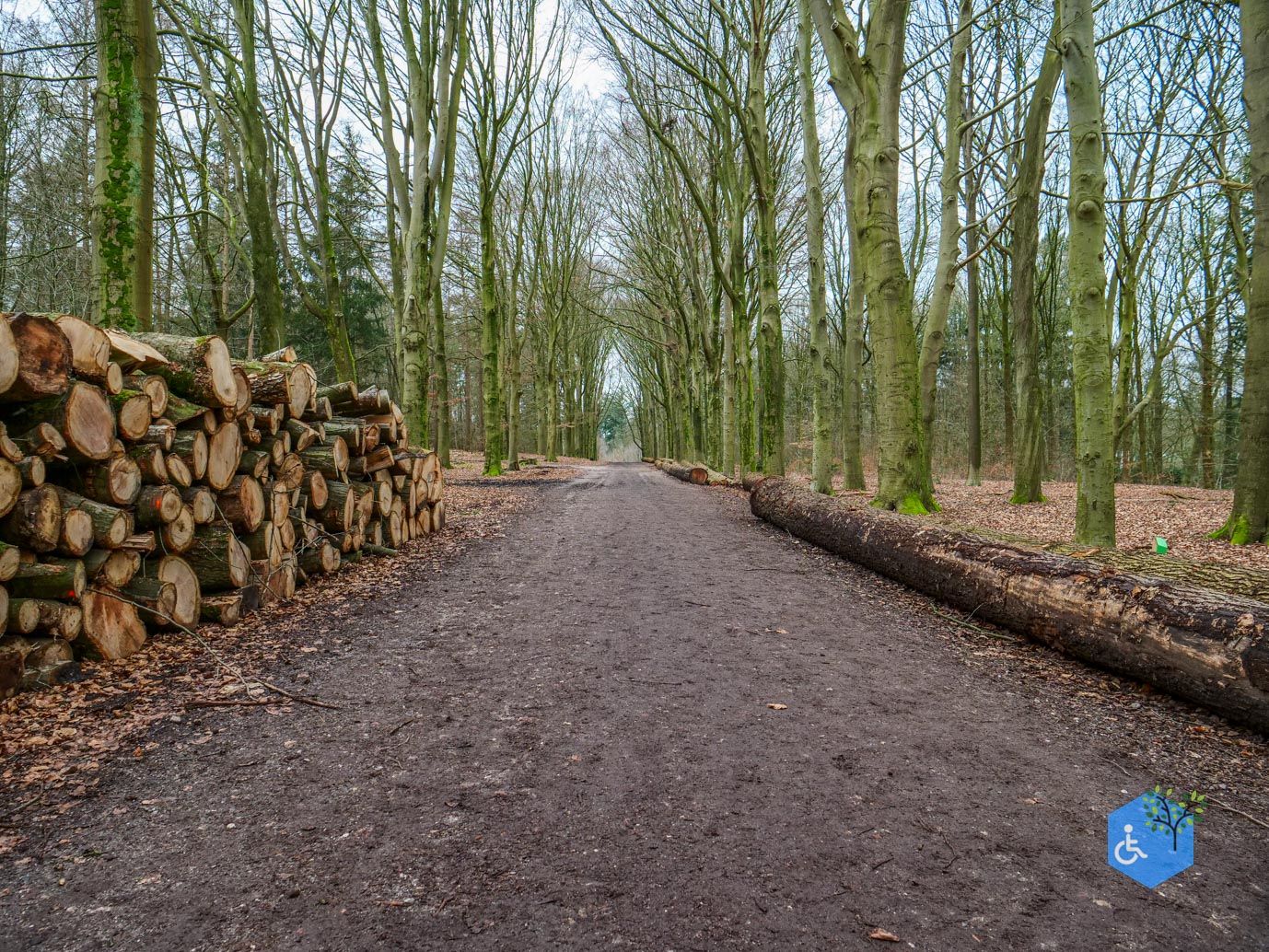 Rhenen_Landgoed_Prattenburg_15-02-2025-07