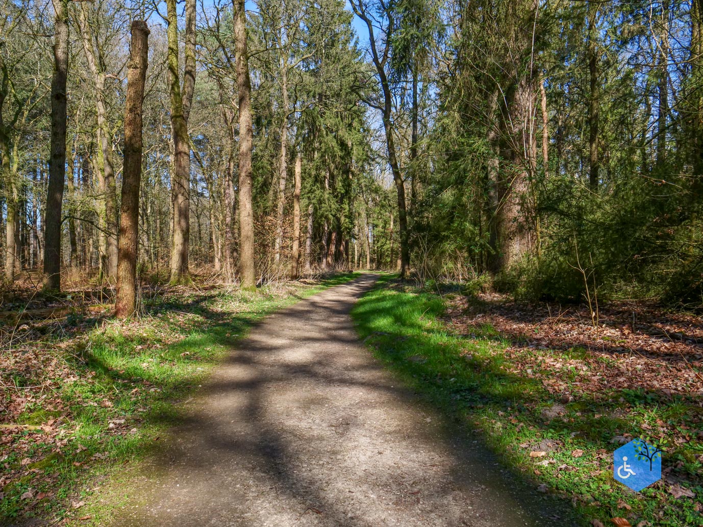 Ermelo_Oud_Groevenbeek_22-03-2025-03
