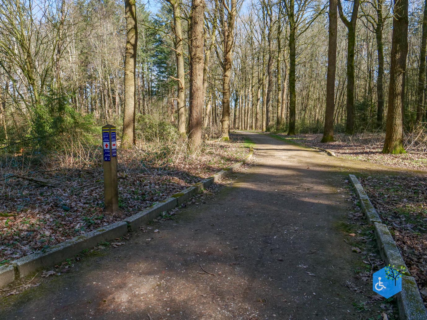 Ermelo_Oud_Groevenbeek_22-03-2025-04