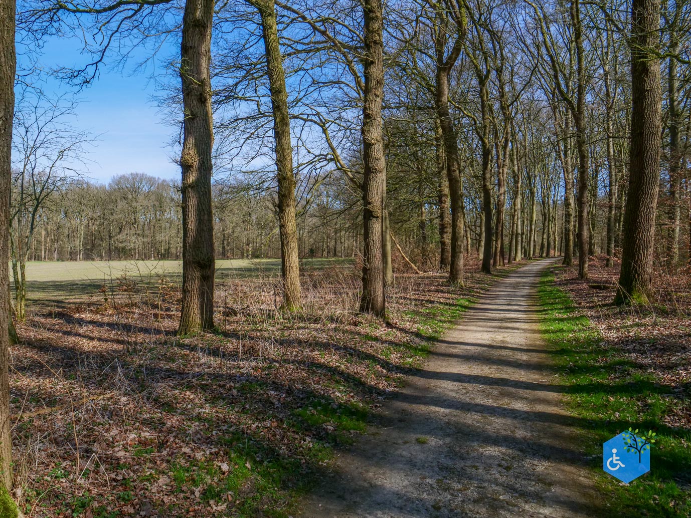 Ermelo_Oud_Groevenbeek_22-03-2025-05