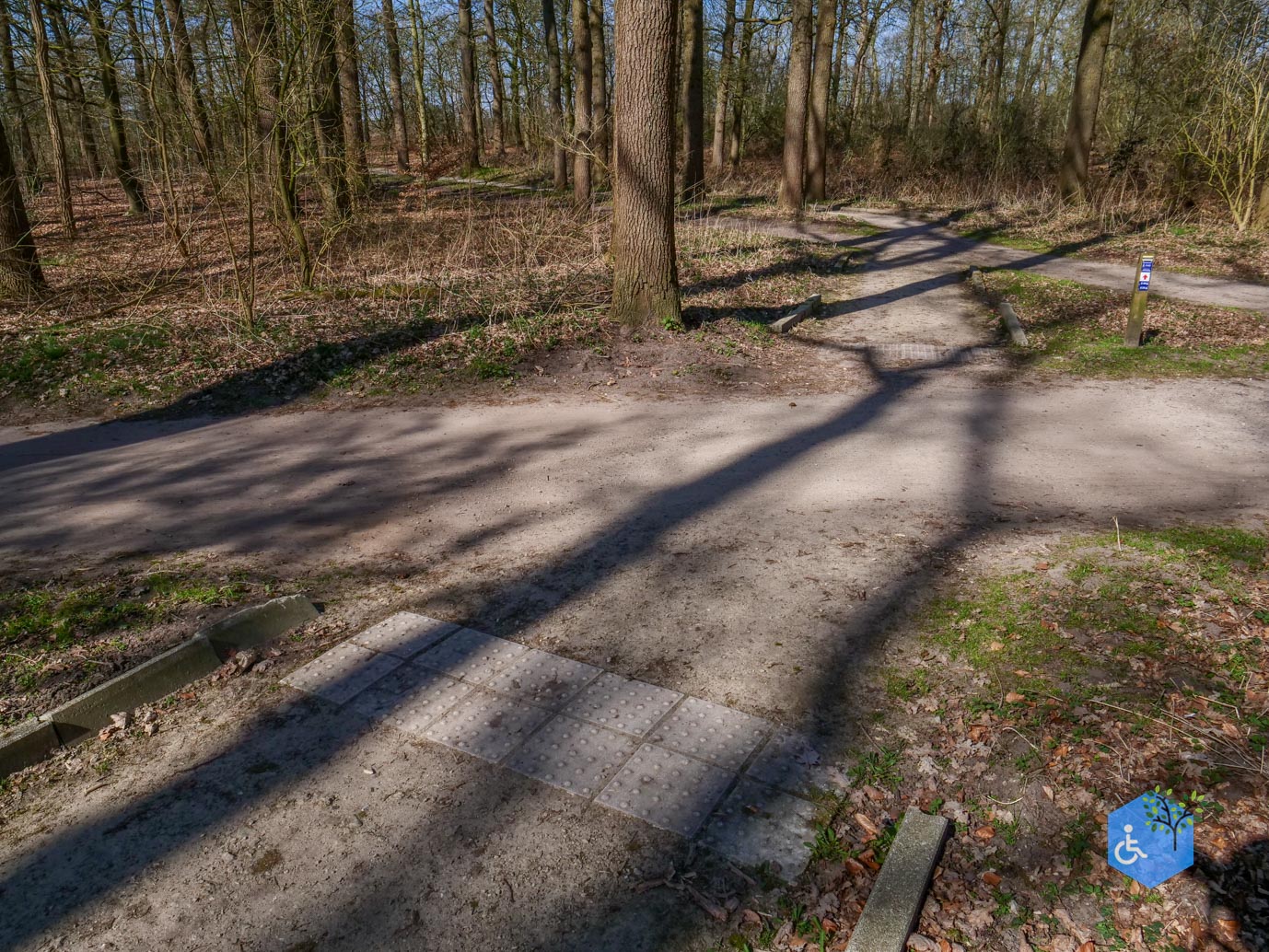 Ermelo_Oud_Groevenbeek_22-03-2025-07