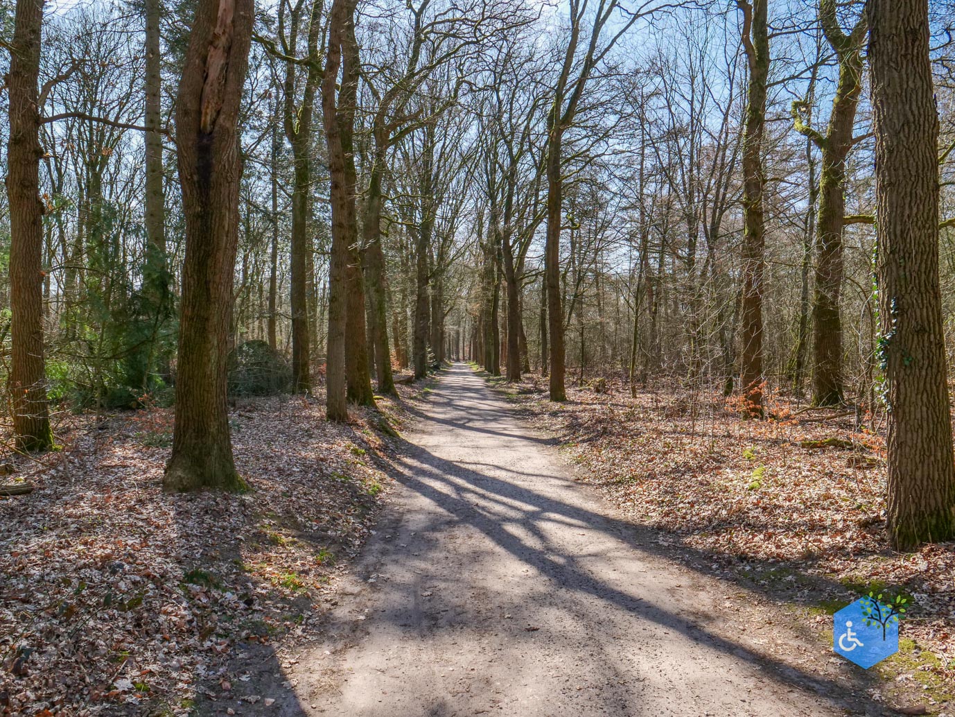 Ermelo_Oud_Groevenbeek_22-03-2025-08