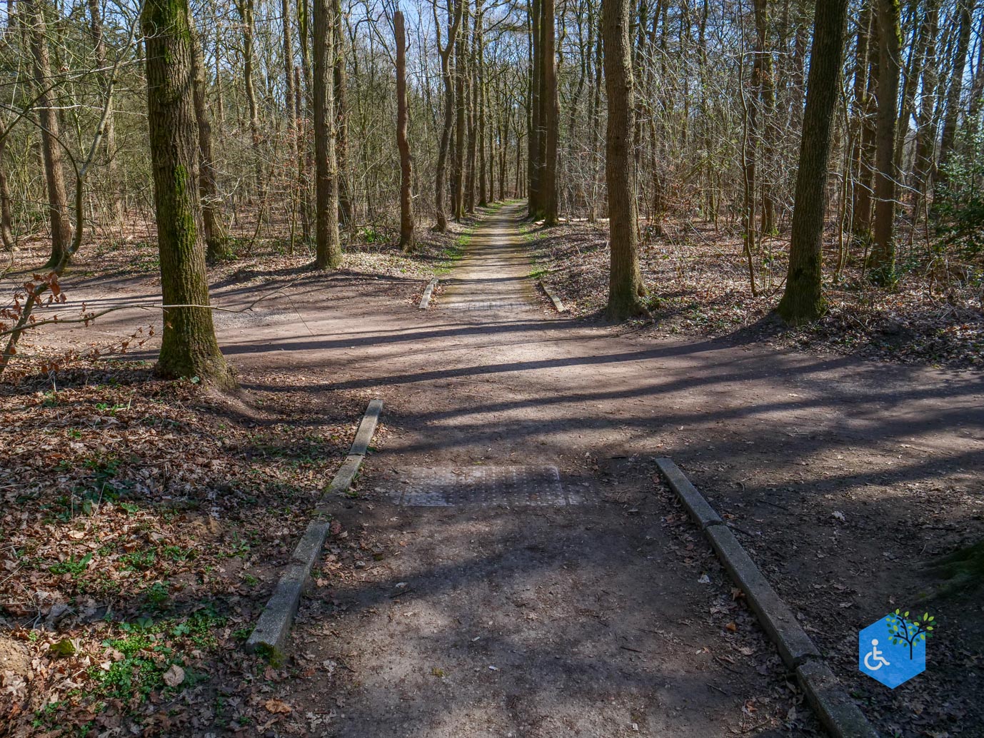 Ermelo_Oud_Groevenbeek_22-03-2025-09