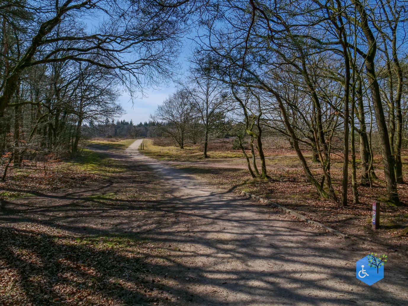Ermelo_Oud_Groevenbeek_22-03-2025-11