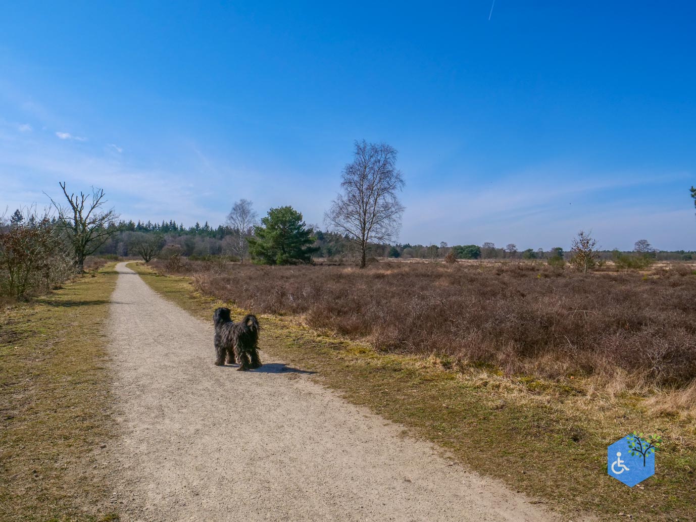 Ermelo_Oud_Groevenbeek_22-03-2025-14