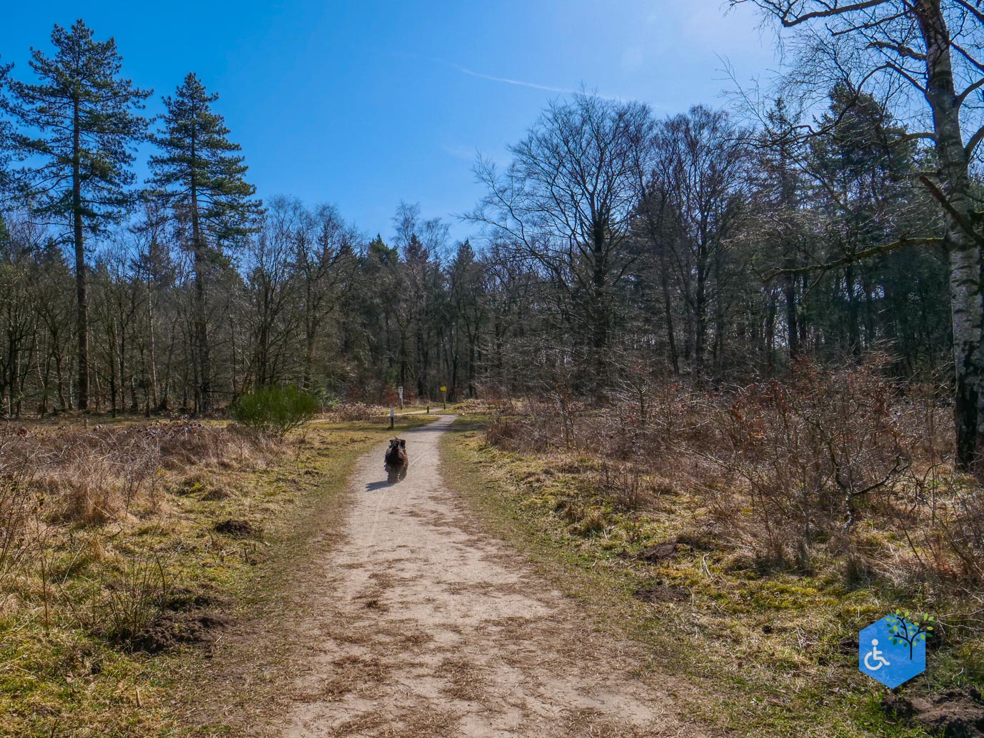 Ermelo_Oud_Groevenbeek_22-03-2025-18