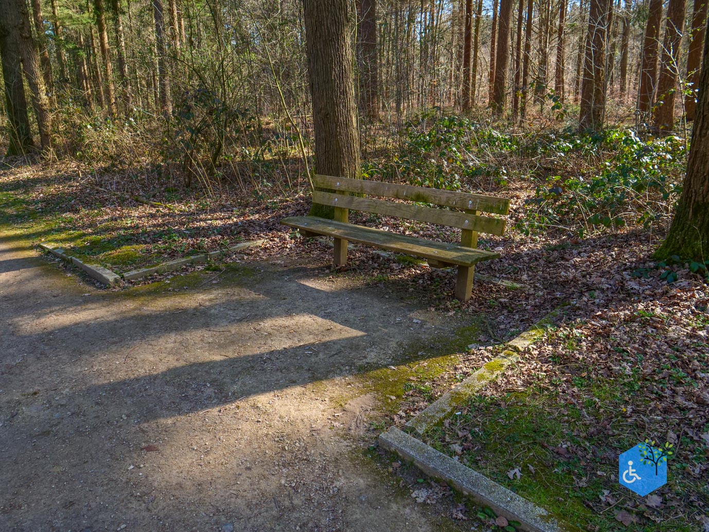Ermelo_Oud_Groevenbeek_22-03-2025-21