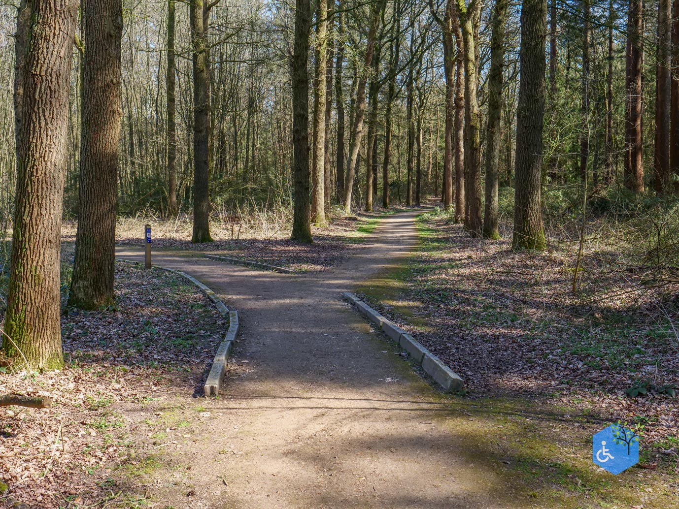 Ermelo_Oud_Groevenbeek_22-03-2025-22