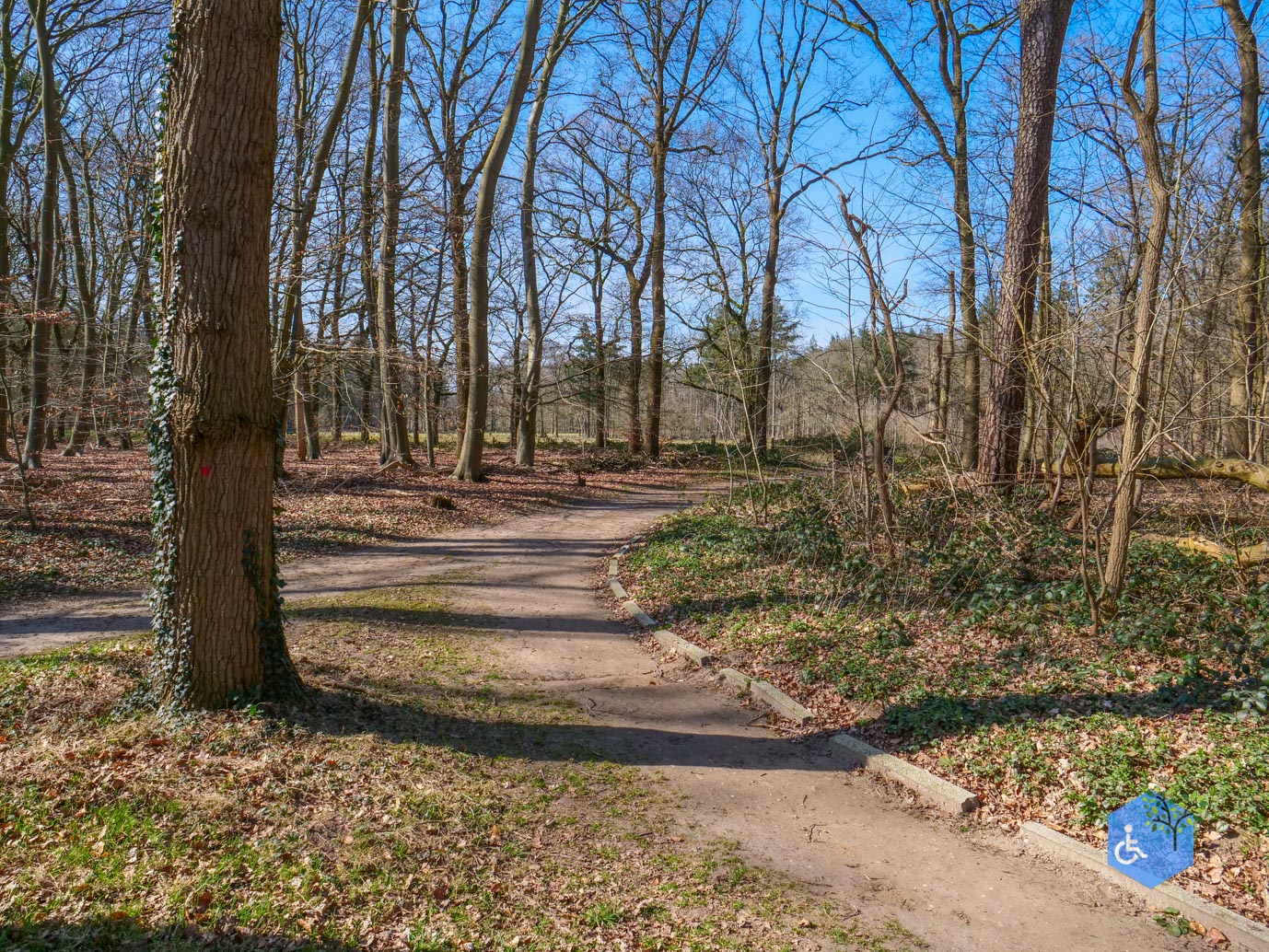 Ermelo_Oud_Groevenbeek_22-03-2025-24