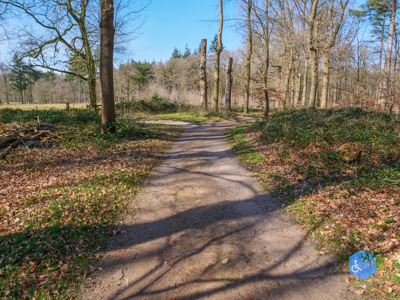 Ermelo_Oud_Groevenbeek_22-03-2025-25