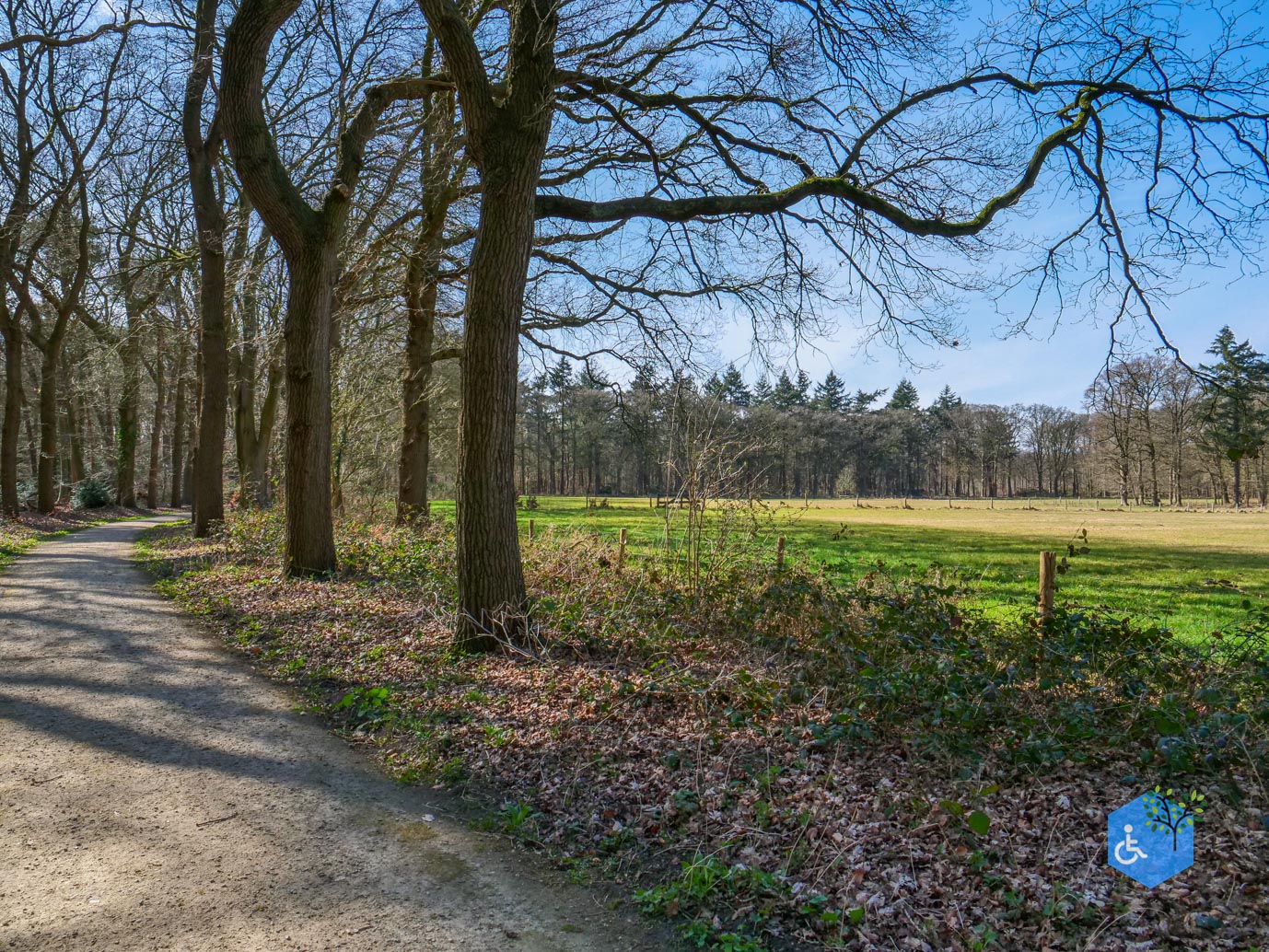 Ermelo_Oud_Groevenbeek_22-03-2025-26