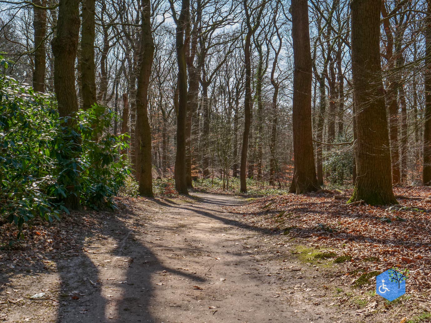 Ermelo_Oud_Groevenbeek_22-03-2025-28