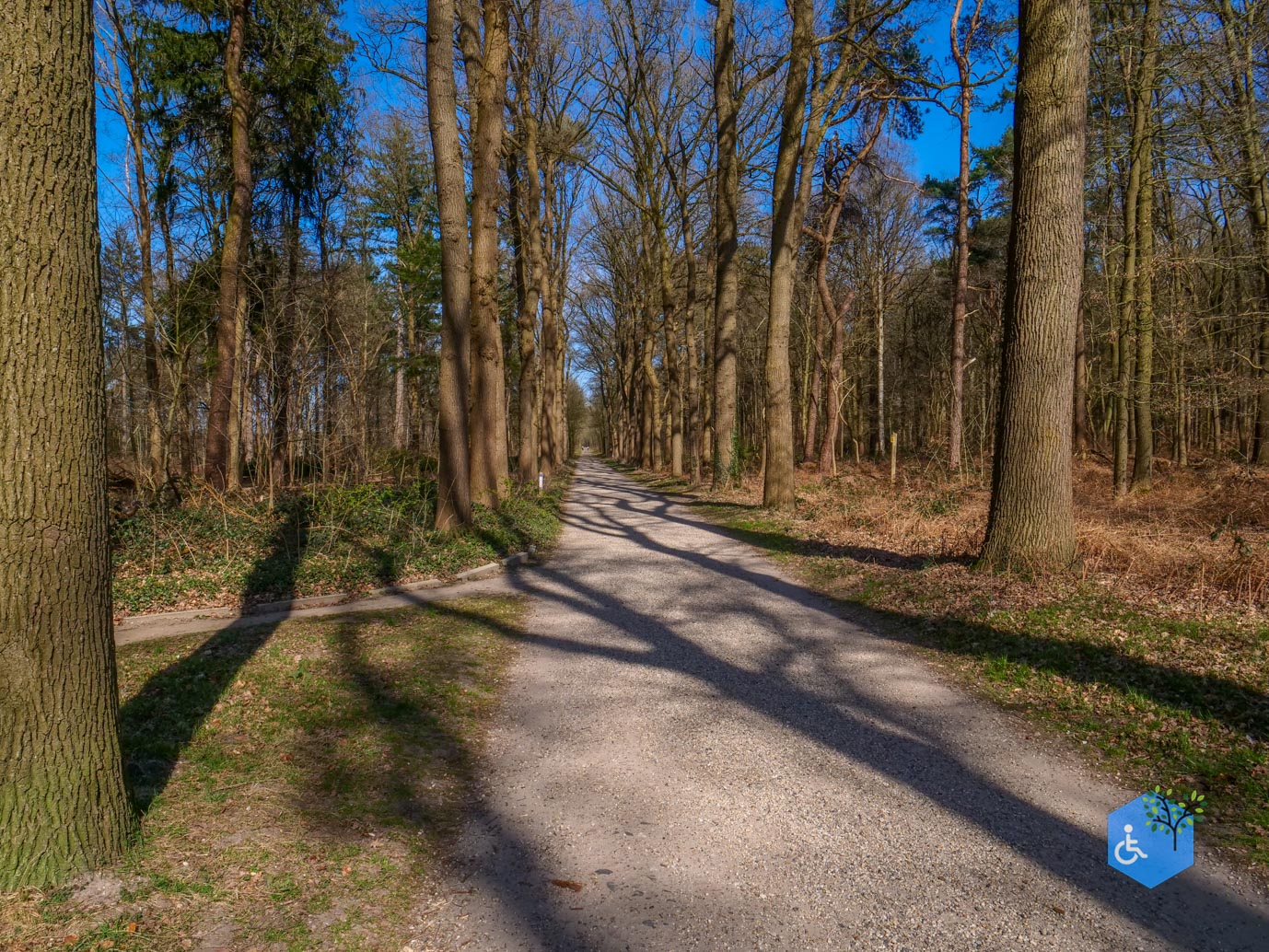 Ermelo_Oud_Groevenbeek_22-03-2025-43