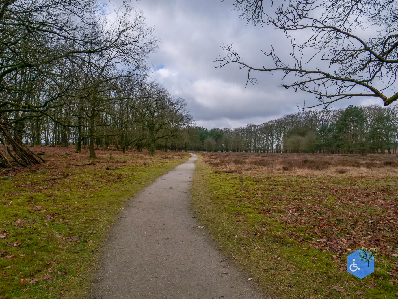 Otterlo_Oud_Reemst_Revisit_28-02-2025-06