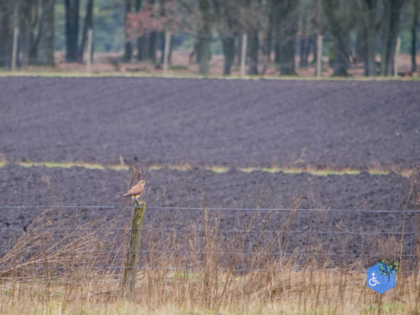 Otterlo_Oud_Reemst_Revisit_28-02-2025-31