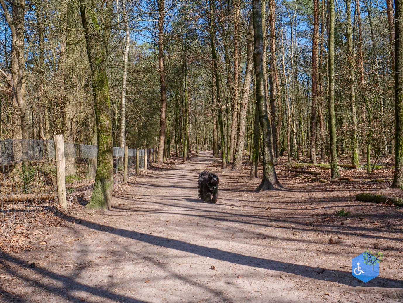 Harskamp_familiepad_en_hondenlosloopgebied_05-04-2025-05