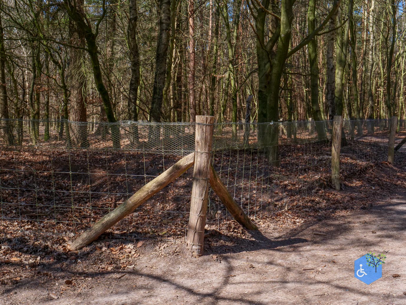 Harskamp_familiepad_en_hondenlosloopgebied_05-04-2025-07